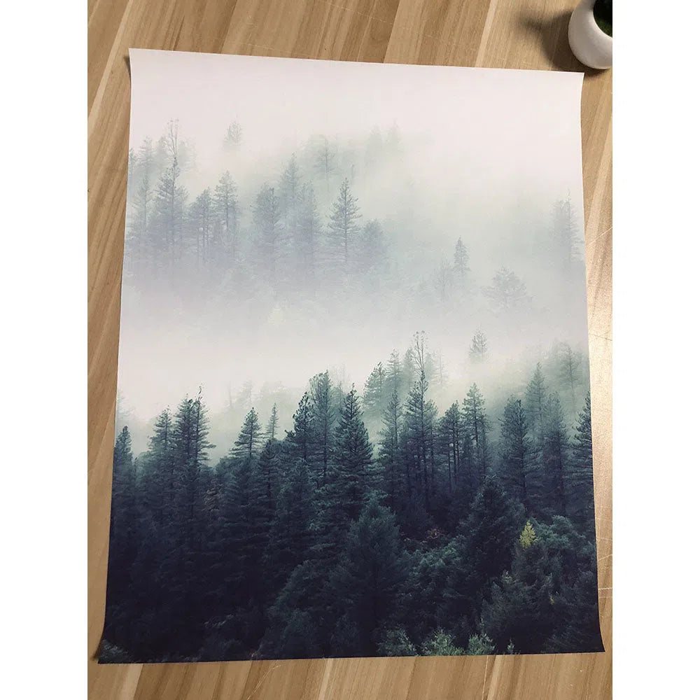 Forest Landscape Canvas Painting